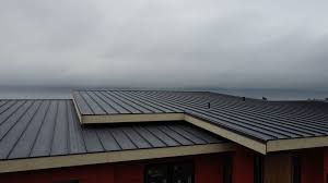 Best Sheet Metal Roofing  in Fort Knox, KY